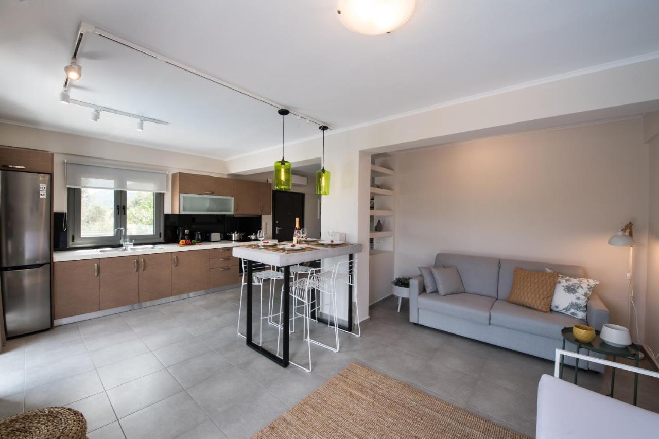Drakatos Villas Vasilikí Extérieur photo